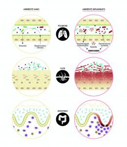 Illustrazione infiammazione epiteliale, barriera della pelle e microbiota curaneo