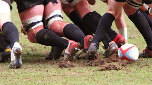 Rugby - Microbiota e sport