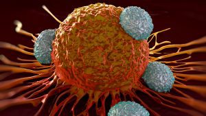 Linfociti contro cellula tumorale - immunoterapia - Farmaci immunoterapici