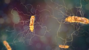 Infezione da Clostridium difficile: ruolo dei probiotici ancora controverso