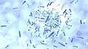 Batteri trapianto di microbiota pediatrico - ntervista Lorenza Putignani