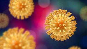 Microbiota vaginale: individuati batteri che aumentano il rischio HIV