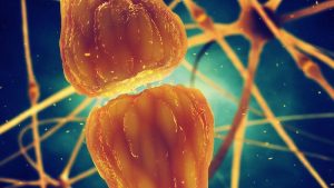 Sinapsi depressione neuroni del cervello collegato a intestino
