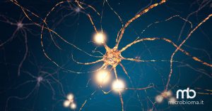 Neuroni sclerosi multipla: probiotici supportano terapia