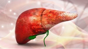 Asse intestino fegato illustrazione 3D