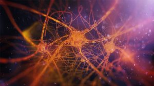 Alzheimer e asse fegato-intestino-cervello