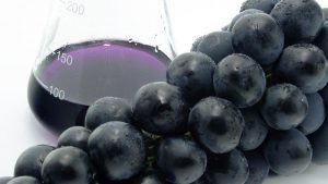Polifenoli di uva e vino impattano sul microbiota intestinale