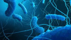 Nuovo studio su alterazioni del microbiota intestinale causate da Clostridium difficile