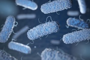 Probiotici incapsulati hanno vantaggi contro Clostridium difficile