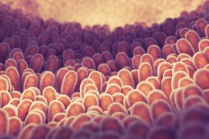 IBD e disbiosi del microbiota intestinale