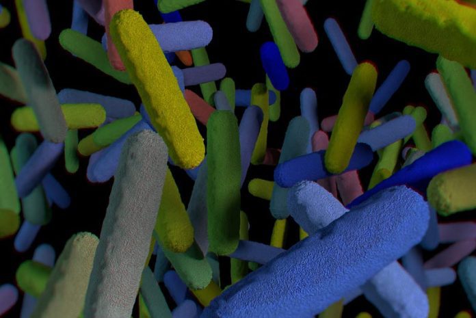 Big data e microbioma: due nuove banche dati per migliorare la ricerca Big data e microbioma: due nuove banche dati per migliorare la ricerca