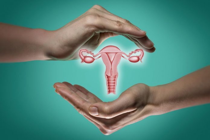 Microbioma vaginale: lo stato dell’arte della ricerca Microbioma vaginale: lo stato dell’arte della ricerca