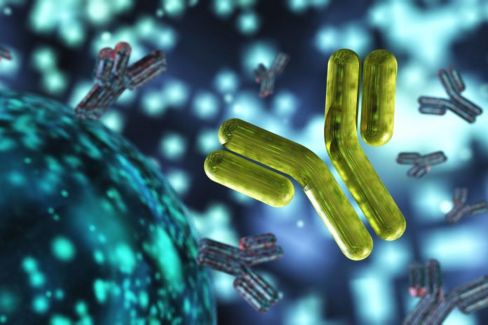 Lupus eritematoso: specifico ceppo di Lactobacillus peggiora i sintomi, lo rivela uno studio USA Lupus eritematoso: specifico ceppo di Lactobacillus peggiora i sintomi, lo rivela uno studio USA