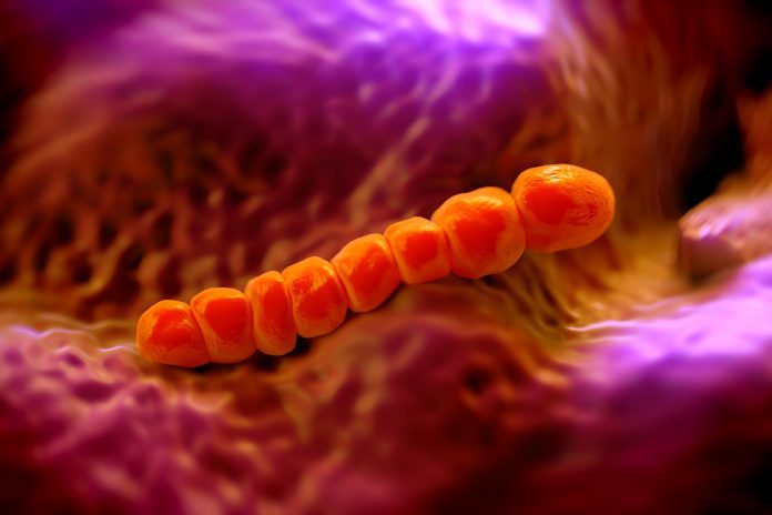 Infezioni da pneumococco e competizione batterica nel microbiota delle vie aeree Infezioni da pneumococco e competizione batterica nel microbiota delle vie aeree