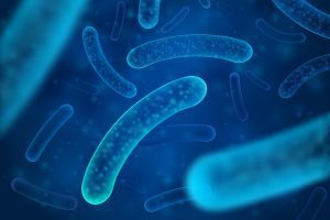 Utilità e limiti dei test preclinici in vitro per predire la sopravvivenza dei probiotici in vivo