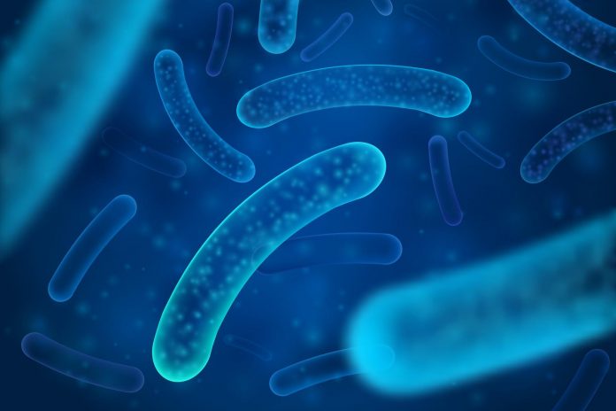 Utilità e limiti dei test preclinici in vitro per predire la sopravvivenza dei probiotici in vivo Utilità e limiti dei test preclinici in vitro per predire la sopravvivenza dei probiotici in vivo