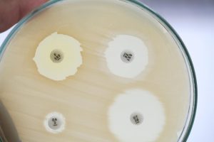 Microbiota intestinale: punto di partenza per affrontare l’antibioticoresistenza?
