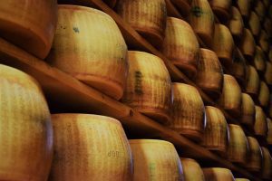 Batteri del Parmigiano Reggiano “arricchiscono” il microbiota intestinale