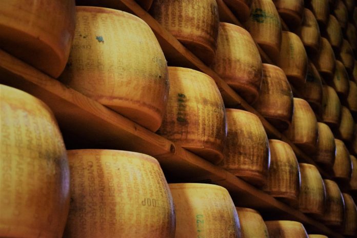 Batteri del Parmigiano Reggiano “arricchiscono” il microbiota intestinale Batteri del Parmigiano Reggiano “arricchiscono” il microbiota intestinale