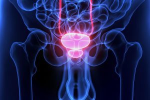 Microbioma della prostata e tumore: studio indaga possibili correlazioni