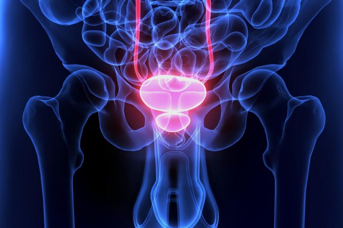 Microbioma della prostata e tumore: studio indaga possibili correlazioni Microbioma della prostata e tumore: studio indaga possibili correlazioni