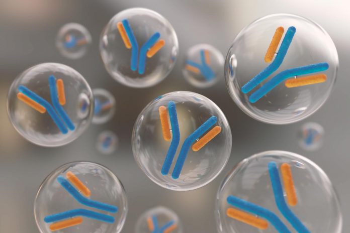 Svezzamento: microbiota intestinale essenziale nello sviluppo del sistema immunitario Svezzamento: microbiota intestinale essenziale nello sviluppo del sistema immunitario