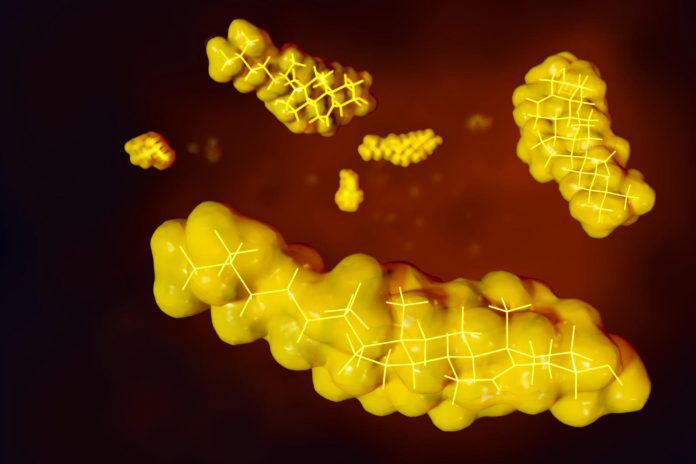 Una dieta povera di grassi migliora il microbiota e il profilo cardiometabolico Una dieta povera di grassi migliora il microbiota e il profilo cardiometabolico