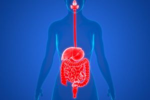 Tumore al colon: sotto accusa la traslocazione di microbi dalla bocca all’intestino [CONFERMARE TITOLO]