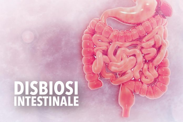 Human digestive system on scientific background. 3d illustration