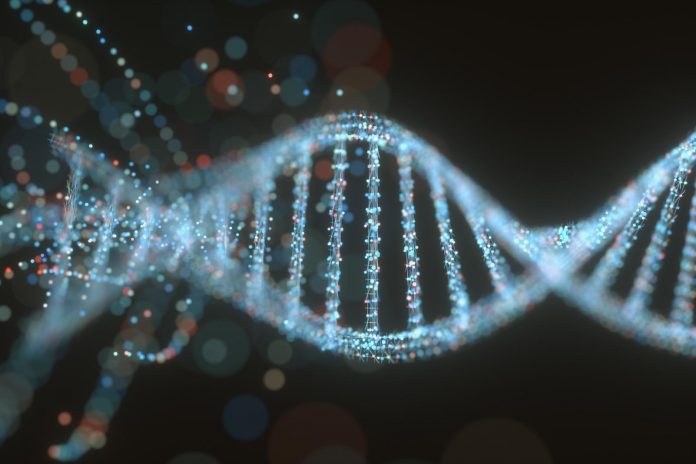 Variazioni genetiche dell’ospite modificano il microbioma orale e intestinale Variazioni genetiche dell’ospite modificano il microbioma orale e intestinale