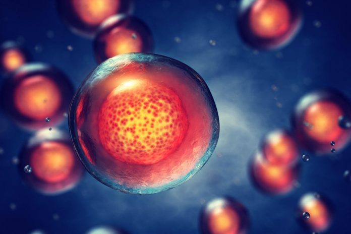 Trapianto di staminali: disbiosi intestinale correlata a malattia acuta da rigetto Trapianto di staminali: disbiosi intestinale correlata a malattia acuta da rigetto