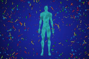 Come cambia il nostro microbioma dopo la morte?