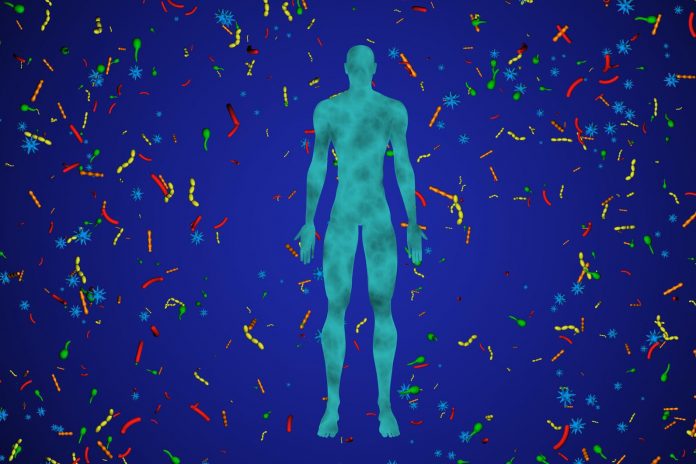 Come cambia il nostro microbioma dopo la morte? Come cambia il nostro microbioma dopo la morte?