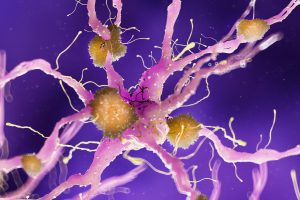 Alzheimer, da studio su antibiotici ulteriore conferma del ruolo del microbiota intestinale