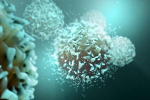 Probiotici e difese immunitarie: qual è il legame?