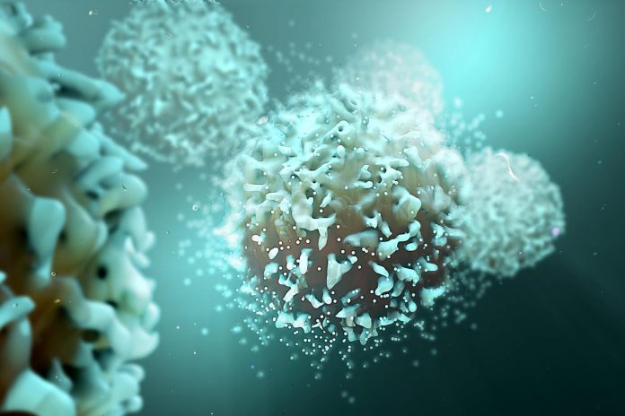 Probiotici e difese immunitarie: qual è il legame? Probiotici e difese immunitarie: qual è il legame?
