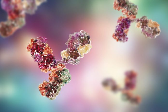 Malattie autoimmuni: possibile diagnosi precoce grazie al microbiota intestinale Malattie autoimmuni: possibile diagnosi precoce grazie al microbiota intestinale