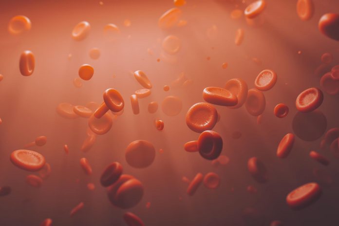 Scoperti batteri intestinali che convertono il sangue di tipo A in tipo 0, il donatore universale Scoperti batteri intestinali che convertono il sangue di tipo A in tipo 0, il donatore universale