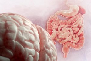 Asse intestino cervello, una review sul ruolo degli acidi grassi a catena corta