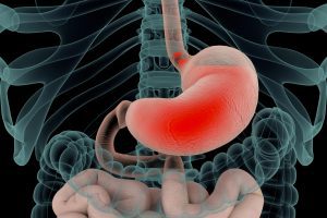 Farmaci antireflusso: alterazioni del microbiota intestinale causano malassorbimento di magnesio