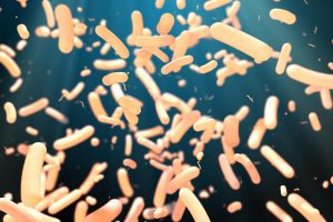 Quanti sono i geni che compongono il microbioma?