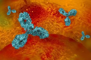 Microbioma in oncologia: a che punto siamo? Le novità da ESMO 2019