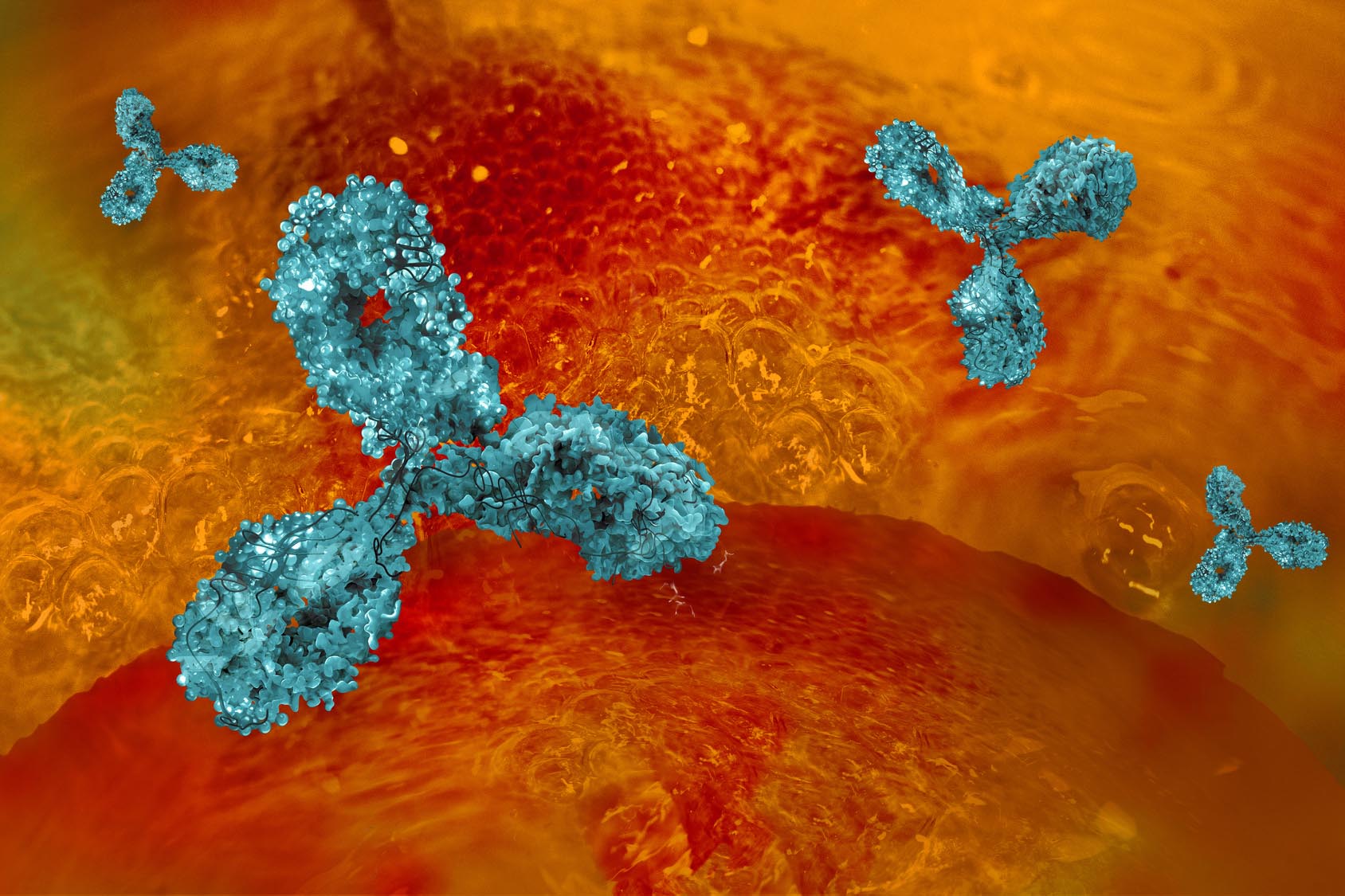 tumore prostata chlamydia infection