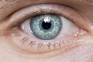 Asse intestino-occhio: una nuova frontiera dell’oftalmologia