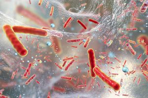 Antibiotico resistenza: dal microbiota intestinale possibile “arma” contro i superbatteri