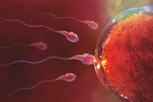 Infertilità maschile: possibile ruolo del microbioma del liquido seminale