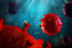 Microbioma vaginale: specifici lattobacilli riducono il rischio di infezione da HIV