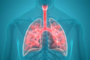 Microbioma polmonare: possibile target terapeutico per pazienti in terapia intensiva