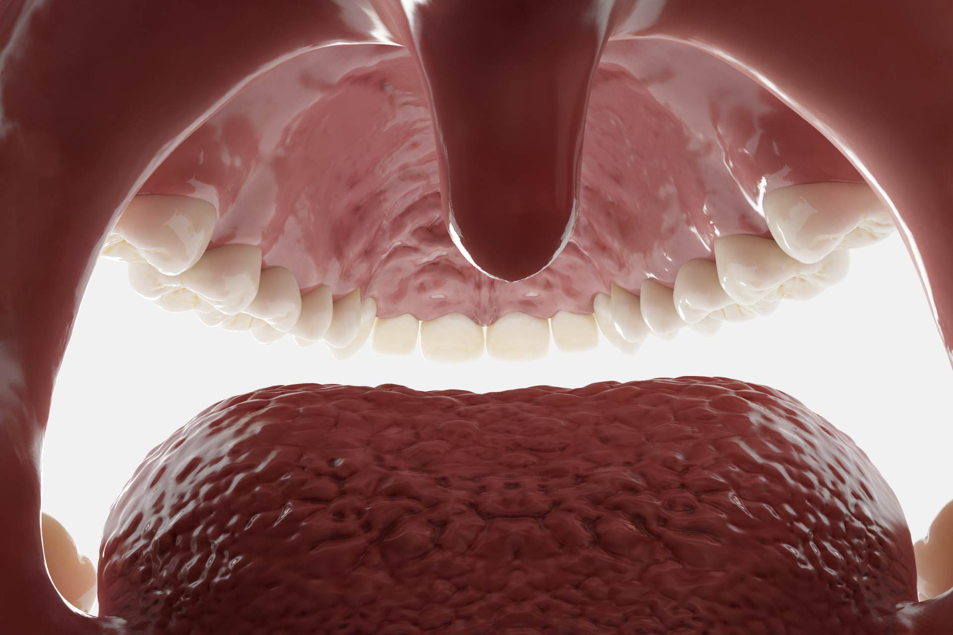 Trapianto di staminali: test sul microbiota orale per prevedere la prognosi