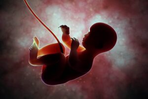 Microbioma uterino: l’intestino del feto inizia a popolarsi di batteri a metà gravidanza